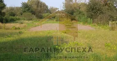 Участок земли в Огородники, Беларусь