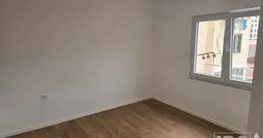 1 bedroom apartment in Albania