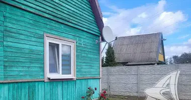 Дом в Чернинский сельский Совет, Беларусь