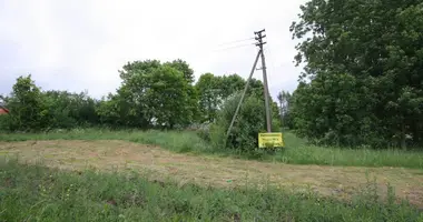 Plot of land in Praniunai, Lithuania