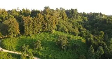 Plot of land in Tsikhisdziri, Georgia