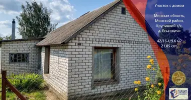 Dom w Krupicki sielski Saviet, Białoruś