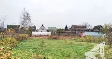 Grundstück in Muchaviecki sielski Saviet, Belarus