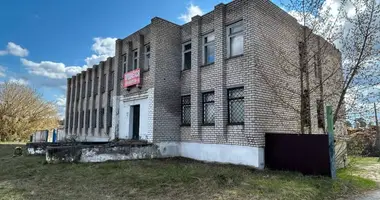 Коммерческое помещение 865 м² в Борисов, Беларусь