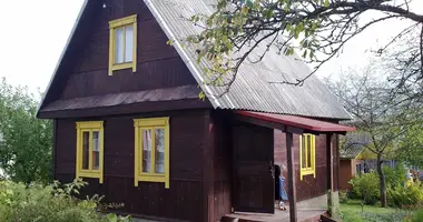 House in Piatryskauski sielski Saviet, Belarus