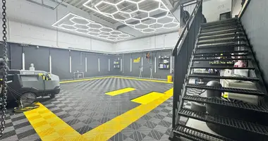 Коммерческое помещение в Wojcieszyn, Польша