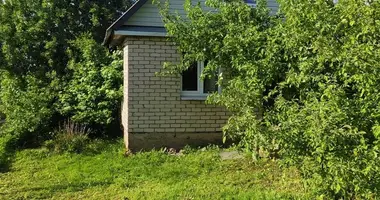 Дом в Петришковский сельский Совет, Беларусь