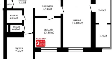 2 room apartment in Minsk, Belarus