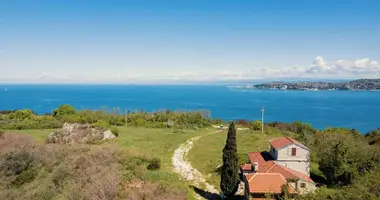 Villa 3 bedrooms in Crveni Vrh, Croatia
