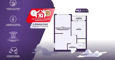 2 room apartment in Minsk, Belarus