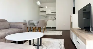 One bedroom Apartment CENTRAL POINT en Podgorica, Montenegro