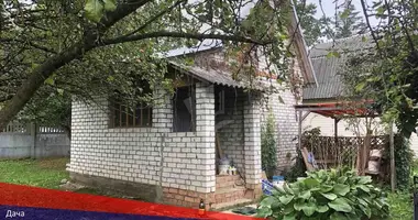 Haus in Piatryskauski sielski Saviet, Belarus