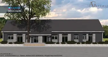 Коммерческое помещение 240 м² в Тракай, Литва