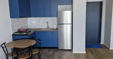 1 bedroom apartment in Tbilisi, Georgia