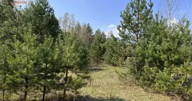 Terrain dans Pratasievicki sielski Saviet, Bélarus
