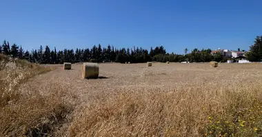 Plot of land in Dromolaxia - Meneou Municipality, Cyprus
