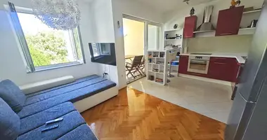 1 bedroom apartment in Radici, Croatia