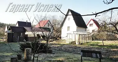 House in Kostycy