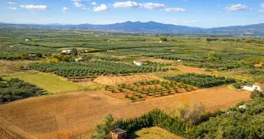 Terrain dans Nea Triglia, Grèce