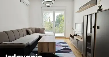 2 bedroom apartment in Montenegro