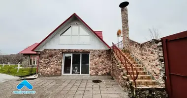 Haus in Masyr, Belarus