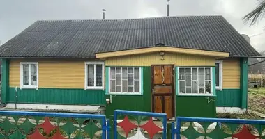 Haus in Nawahrudak, Belarus