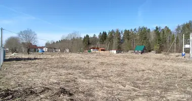 Участок земли в Гатчинский муниципальный округ, Россия