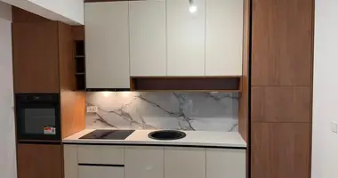 1 bedroom apartment in Podgorica, Montenegro