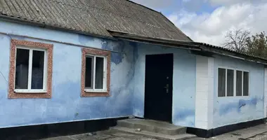 3 room house in Novohradkivka, Ukraine