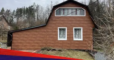 House in Radaskovicki sielski Saviet, Belarus