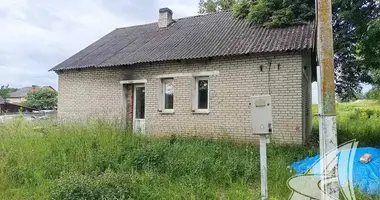 House in Navickavicy, Belarus