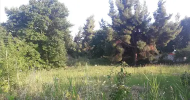 Terrain dans Municipality of Sithonia, Grèce