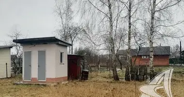 Parcela en Znamienski sielski Saviet, Belarús