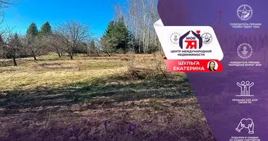 Plot of land in Bialarucki sielski Saviet, Belarus