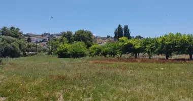 Участок земли в Каливе, Греция