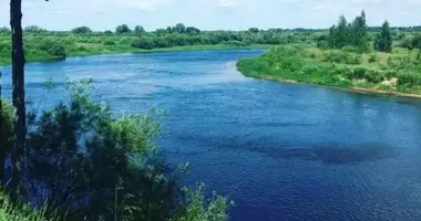 Dom w Sielsowiet Michaliszki, Białoruś