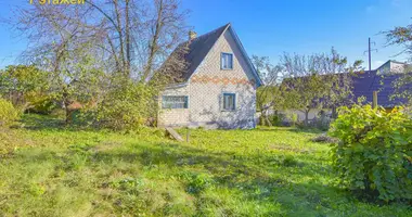 House in Zabalocki sielski Saviet, Belarus