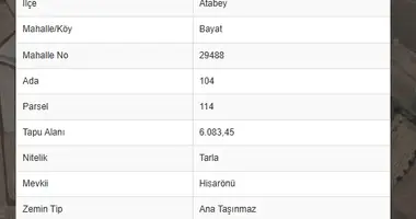 Grundstück in Bayat, Türkei