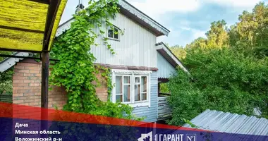 House in Rakauski sielski Saviet, Belarus