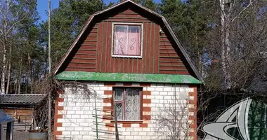 House in Muchaviecki sielski Saviet, Belarus