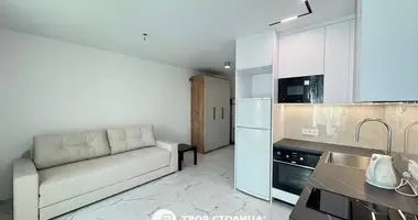 1 bedroom apartment in Minsk, Belarus