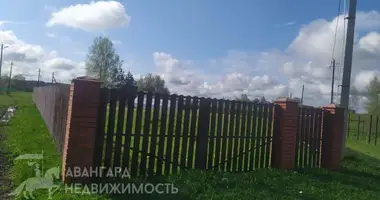 Działka w Uzdzienski sielski Saviet, Białoruś