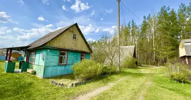 House in Usiazski sielski Saviet, Belarus