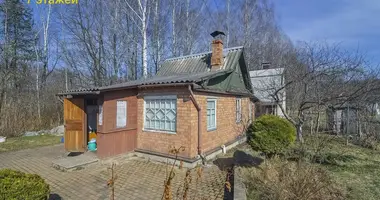 House in Zabalocki sielski Saviet, Belarus