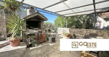 Maison 1 chambre dans Opcina Dezanovac, Croatie