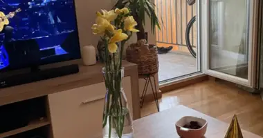 Apartamento en Podgorica, Montenegro