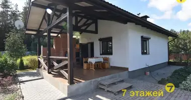 House in Piekalinski sielski Saviet, Belarus