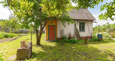 Дом в Пережирский сельский Совет, Беларусь
