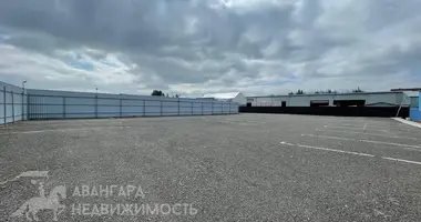 Warehouse 1 552 m² in Fanipal, Belarus