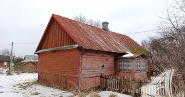 Grundstück in Pyeski, Belarus